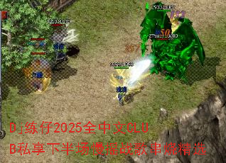 Dj练仔2025全中文CLUB私享下半场慢摇战歌串烧精选 Dj练仔2025全中文CLUB私享下半场慢摇战歌串烧精选