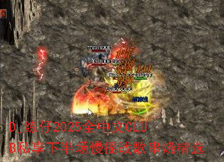 Dj练仔2025全中文CLUB私享下半场慢摇战歌串烧精选 Dj练仔2025全中文CLUB私享下半场慢摇战歌串烧精选