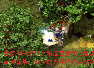 ����DJ����12�¾�ѡ����ר�ó���Խ�ϹĴ��գ��ܷ��Ϊ����ռ���Ϸս�裿