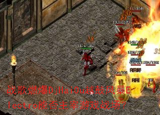 ս��ȼ��DjHaiOuԽ�ķ籩Electro�ܷ�������Ϸս����