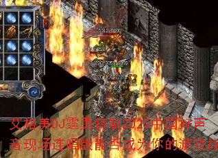 ������DJ��������2025�й��������ֳ��������ܷ��Ϊ�����Ϸս�裿