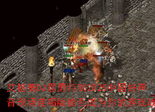 ������DJ��������2025�й��������ֳ��������ܷ��Ϊ�����Ϸս�裿