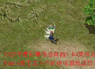 2025年最劲爆伤感舞曲?DJ灵楦儿Remix能否成为你的终极游戏战歌? 2025年最劲爆伤感舞曲?DJ灵楦儿Remix能否成为你的终极游戏战歌?