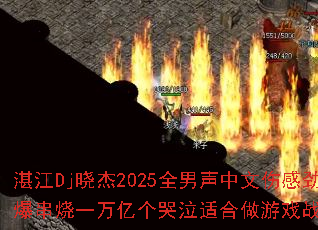 տ��Dj����2025ȫ���������˸о�������һ���ڸ������ʺ�����Ϸս����