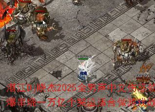 տ��Dj����2025ȫ���������˸о�������һ���ڸ������ʺ�����Ϸս����