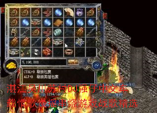 տ���⴨�մ�DJǿ�����ĳ��������ҡ������Ϸս�辫ѡ