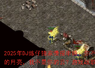 2025��DJ���ж�����ҡ���գ��㲻���ҵ��������Ҳ�������ƣ���Ϸս����꿽��ƪ