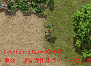 DJCoheny2025����ս�贮�գ����������ܵ�ȼ��ľ�������