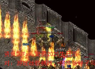 ����DJFany����2025�����ɶԣ���Ϸս����ս����׼��������