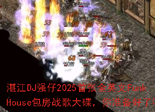 տ��DJǿ��2025����ȫӢ��FunkHouse����ս��������׼��������