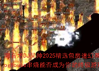 ������DJ��˧2025��ѡ�����Ի�Ӣ��ProgHouse�����ܷ��Ϊ����ռ���Ϸս��