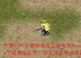 ����DJ���ټ�ˬ������������House������ҡ˽������Ϸս������������