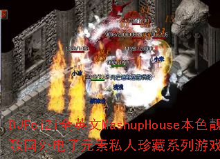 DJFeiZiȫӢ��MashupHouse��ɫ����������Ԫ��˽�����ϵ����Ϸս����������ʹ���