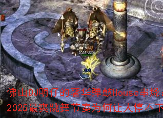 ��ɽDJ���е��ݻ�����House���գ�2025��ˬ�������Ϊ������ͣ��������