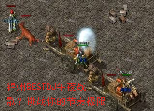 ����BESTDJ��ҹս�裿��ս��Ľ��༫��
