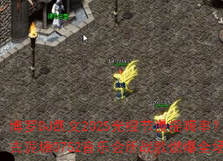 ����DJ����2025�������ҡ�˴���������0752���ֻ���ս��ȼ��ȫ��