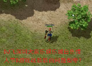 DJ�����ڴ�������ֳǰ�ɫ���˽�B��Ϸս����������ʹ���