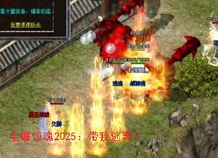 ��⾪��2025���������룿