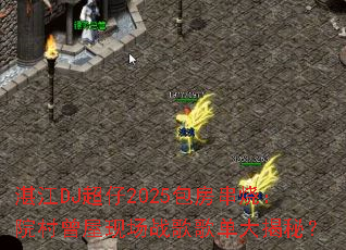 տ��DJ����2025�������գ�Ժ�������ֳ�ս��赥����أ�