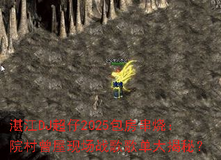 տ��DJ����2025�������գ�Ժ�������ֳ�ս��赥����أ�