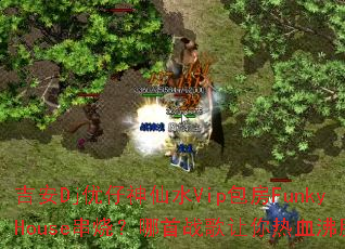 ����Dj��������ˮVip����FunkyHouse���գ�����ս��������Ѫ����