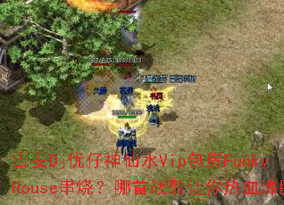 ����Dj��������ˮVip����FunkyHouse���գ�����ս��������Ѫ����