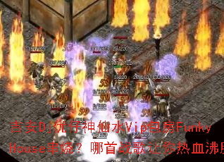 ����Dj��������ˮVip����FunkyHouse���գ�����ս��������Ѫ����