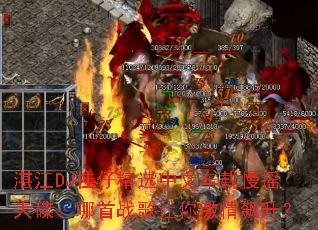 տ��DJ���о�ѡ���ĳ�����ҡ���������ս�����㼤�������