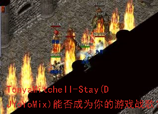 TonyaMitchell-Stay(DJYoYoMix)能否成为你的游戏战歌? TonyaMitchell-Stay(DJYoYoMix)能否成为你的游戏战歌?