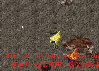 տ��Dj���о�ѡӢ���Իõ���House������̫��ս���ܷ��ȼ�����Ϸ���飿