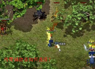 传奇辅助该如何选择? 传奇辅助该如何选择?