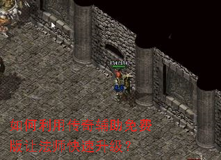 ������ô��渨����Ѱ��÷�ʦ����������