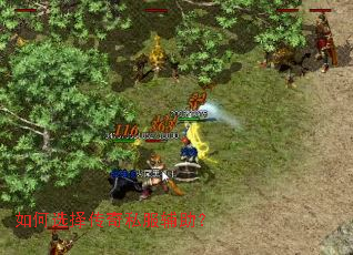 ���ѡ����˽��������