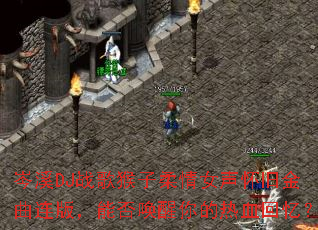 �ϪDJս���������Ů�����ɽ������棬�ܷ��������Ѫ���䣿