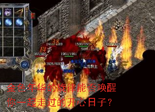 ��ɫ�껪�������ܷ�����һ���߹��Ŀ������ӣ�