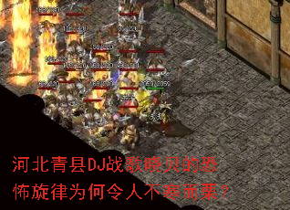 �ӱ�����DJս�������Ŀֲ�����Ϊ�����˲���������