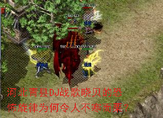 �ӱ�����DJս�������Ŀֲ�����Ϊ�����˲���������