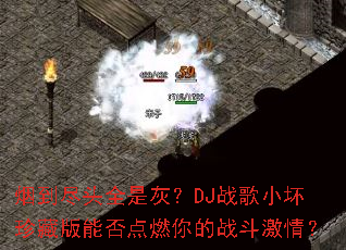 �̵���ͷȫ�ǻң�DJս��С����ذ��ܷ��ȼ���ս�����飿