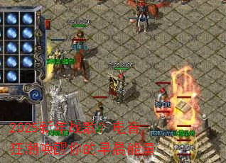 2025����ս�裿�����񳱻�������糿����