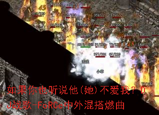 �����Ҳ��˵��(��)�����ң�DJս��-FoRCe������ȼ��