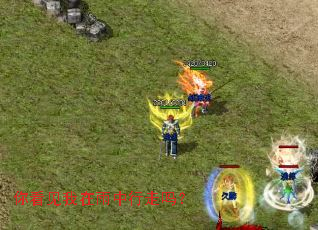 �㿴����������������