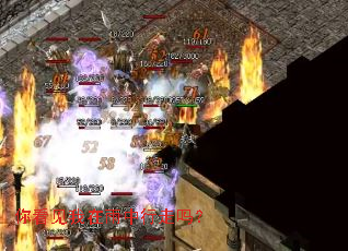 �㿴����������������