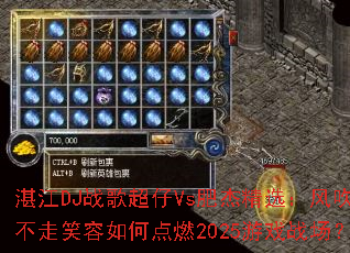 տ��DJս�賬��Vs�ʽܾ�ѡ���紵����Ц����ε�ȼ2025��Ϸս����