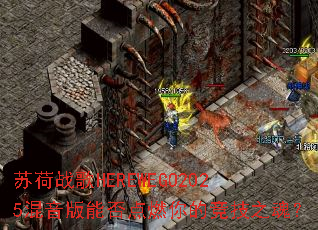 �պ�ս��HEREWEGO2025�������ܷ��ȼ��ľ���֮�ꣿ