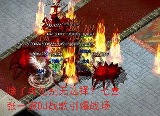 �����ټ�����ѡ����ϲ��һ�DJս������ս��