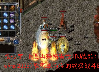 ������-��Ҫ�����˺���(DJս�谢��ElectroRmx2025)�ܷ��Ϊ����ռ�ս��BGM��