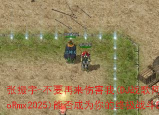 ������-��Ҫ�����˺���(DJս�谢��ElectroRmx2025)�ܷ��Ϊ����ռ�ս��BGM��