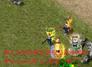 տ��DJս�谡ʤ�ļ�Ʒ���MC����houseΪ���������ղ��ܣ�