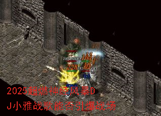 2025��ȼ�񾭷籩DJС��ս���ܷ�����ս��