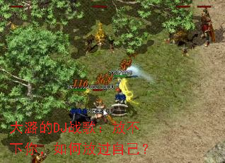 ��º��DJս�裺�Ų����㣬��ηŹ��Լ���